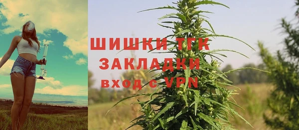 Альфа ПВП Вязьма